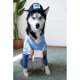thumbnail image 4 of USPS Dog Courier Carrier Costume, Funny Courier Turned into Pet Dog Medium and Large Dog Halloween Day Decoration Supplies Clothes Clothes (1 Pack, S), 4 of 5