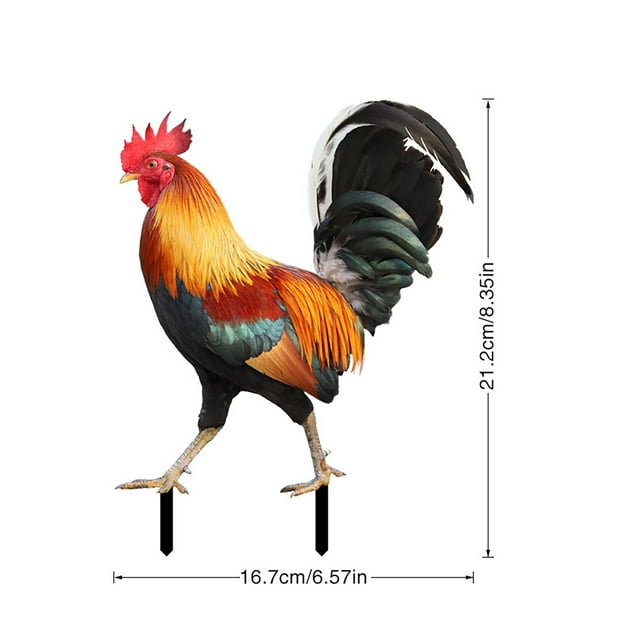 Ltdhehe Poultry Decoration Courtyard Card Size Hen Card Decoration Courtyard Decoration Acrylic Double Sided Printing Party Card Animal Rowsgarden Decoration Gardening Decoration