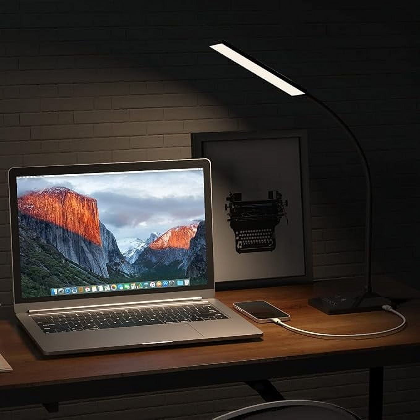 RAOYI Selfie Light,7W LED Desk Lamp with Stand Five Touch Dimming Modes Eye-Caring Reading Light Adjustable Neck Clip Night Light,Black