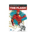 The Flash: An Adult Coloring Book (Paperback) - Walmart.com