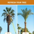 thumbnail image 4 of 26ft Extendable Tree Pole Saw & Pruner, Lightweight Fiberglass High-Reach Branch Trimmer, 4 of 7