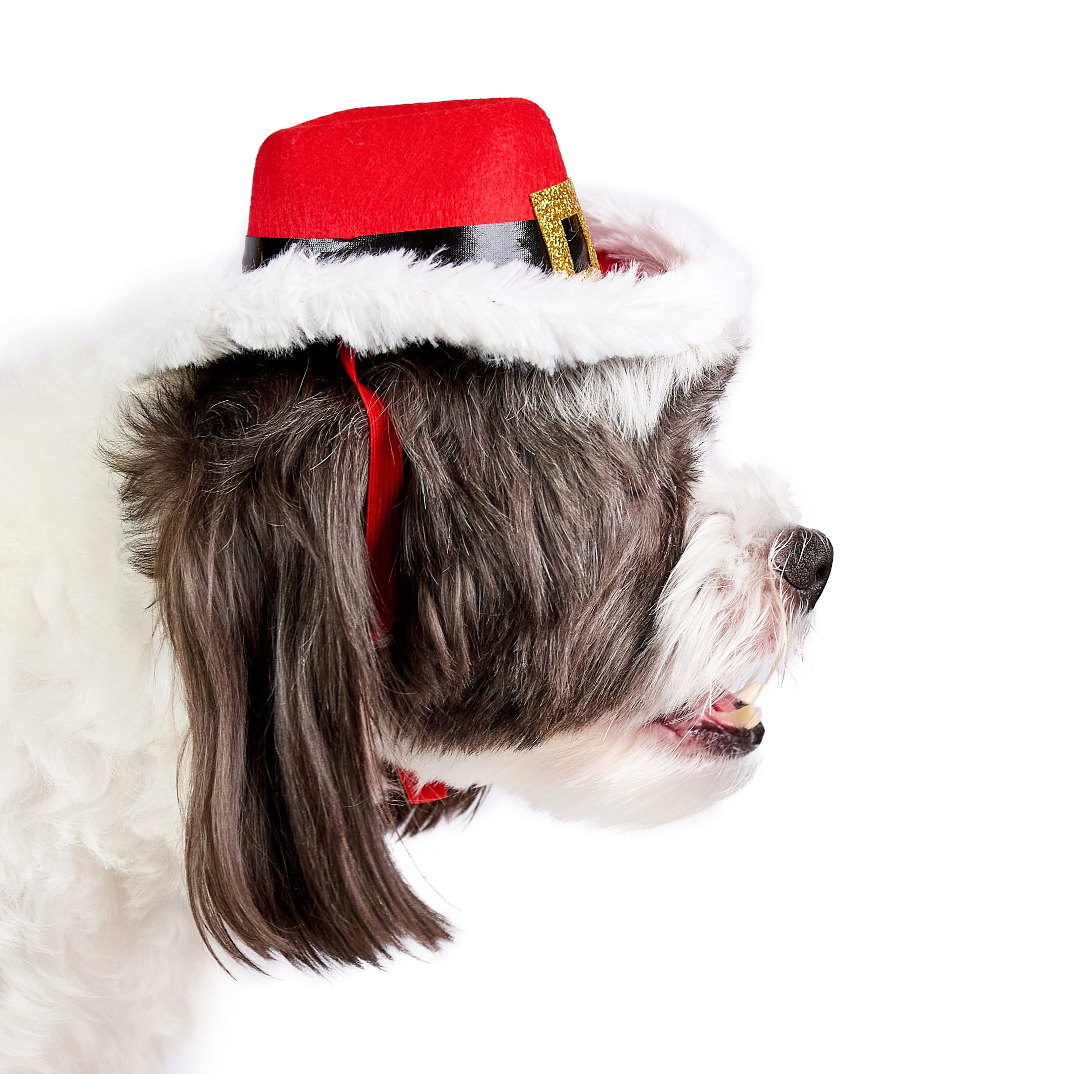 Vibrant Life Holiday Pet Santa Cowboy Hat for Cats & Dogs, Red, Extra Small/Small