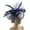 Navy Blue, variant on Yesbay Elegant Fascinator Hat with Hair Clip Decorative Feather Bowknot Mesh Decor Pillbox Hat Hair Accessories