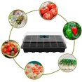 thumbnail image 4 of Bandejas De Inicio De Semillas Bandeja De Plántulas Bandeja De Siembra De 12 Celdas Con Tapa Humedad Ajustable Kit De Cultivo De Inicio De Plantas Methold HA041593-00, 4 of 6