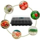 thumbnail image 4 of Bandejas De Inicio De Semillas Bandeja De Plántulas Bandeja De Siembra De 12 Celdas Con Tapa Humedad Ajustable Kit De Cultivo De Inicio De Plantas Yuarrent HA041593-00, 4 of 6
