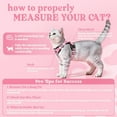 thumbnail image 2 of rabbitgoo Cat Harness and Leash for Walking, Escape Proof Soft Adjustable Vest Harnesses for Cats, Easy Control Breathable Reflective Strips Jacket, Pink, 2 of 9
