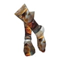thumbnail image 4 of Pofeuu Valley Meditating Guinea Pig Print Stockings, Adult Running Hiking Socks for Youth and Adult-One Size, 4 of 8