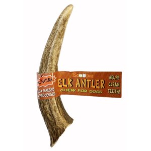 5-6 Inch Assorted Elk Antlers Split and Whole USA Sourced
