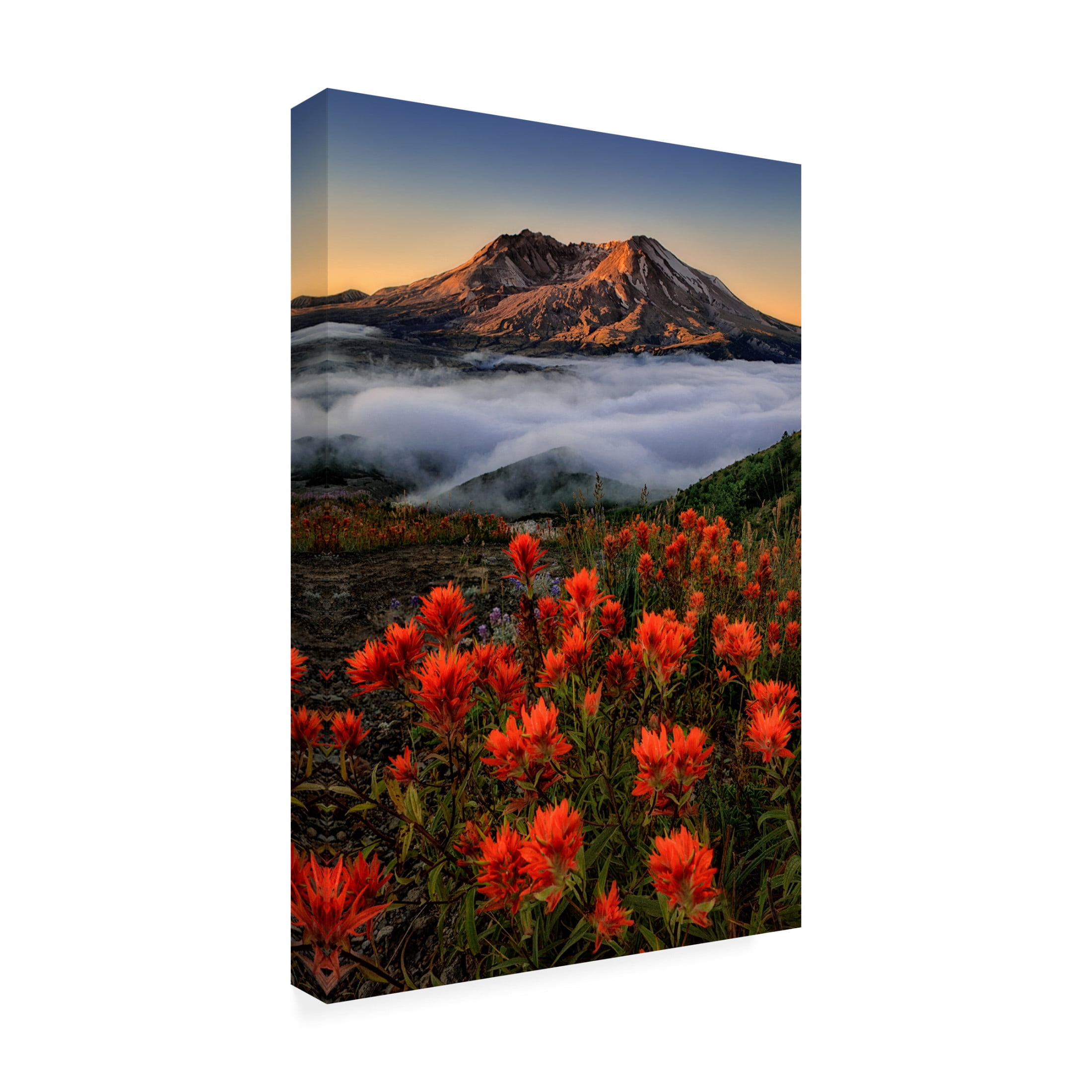 Canvas Wall Art - Lydia Jacobs 'Blooming' Wall Art for Living Room, Bedroom, or Office D?cor by Trademark Fine Art - 30 x 47 Inches