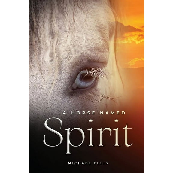 A Horse Named Spirit, (Paperback)