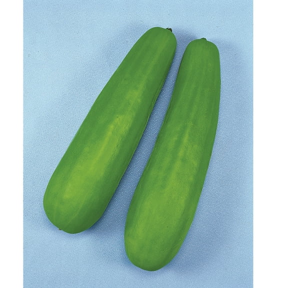 Pickling Melon Seeds - Katsura Giant - 500 Mg Packet ~32 Seeds - Non-GMO, Heirloom - Asian Garden Fruit