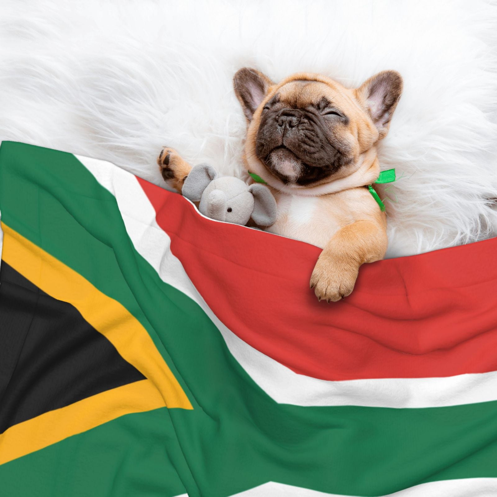 South African Flag Dog Blanket Soft Warm Flannel Cat Blanket Great Pet Throw for Cats Puppy Small Medium Large Dog