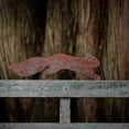thumbnail image 4 of Squirrel For Tree - Metal Garden Ornament - 35cm - Natural Rust Patina, 4 of 5