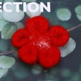 thumbnail image 3 of BEADCEST Fabric Flowers For Sewing DIY Decorations Wool 1Pack, 3 of 4