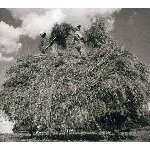 William Elliott Whitmore - Field Songs - Music & Performance - CD