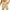 Beige, variant on Mens Shorts Clearance,Mens Casual Solid Summer With Pockets Drawstring Middle Waist Sport Short Pants
