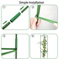 thumbnail image 5 of Tomato Trellis, Plastic Coated Steel Pipe, Garden Tie Green Tape, Tomato Cages Plant Stakes for Climbing Vegetables, 5 of 8