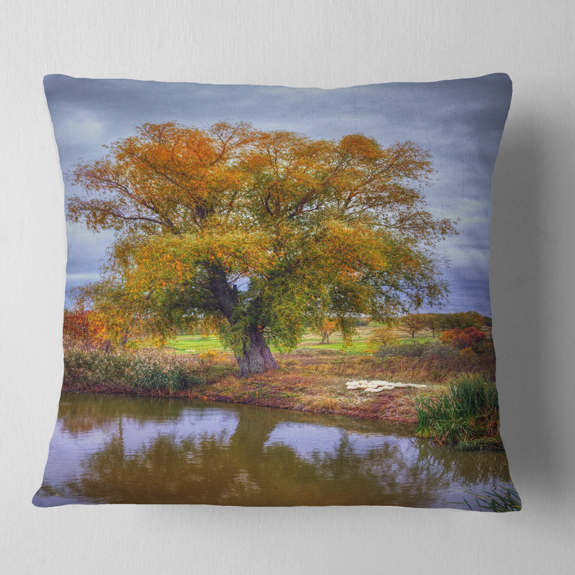 Designart Willow Near Pond - Landscape Photography Throw Pillow - 16x16