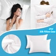 thumbnail image 2 of Pillow for Couch Throw Satin 2 Pack With Envelope Closure Standard Size 20 Inches High- Satin for Comfort and Style 2PCS, 2 of 7