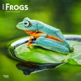 thumbnail image 1 of BrownTrout Frogs 2024 12x24 Inch Square Wall Calendar, 9781975462765, 1 of 8
