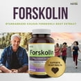 thumbnail image 3 of Herba Forskolin Extract Supplement – 60 Vegetable Capsules | 5000mg Per Day | Made in Canada, 3 of 7
