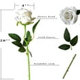thumbnail image 2 of Xiao Hua Rosas blancas artificiales 12 rosas con tallo de seda de tacto real, ramo de rosas adecuado para el hogar, bodas, fiestas, flores de jardín y decoración de rosas., 2 of 5