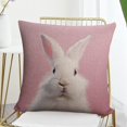 thumbnail image 7 of Cushion Covers White Bunny with Pink Throw Pillow Covers Decorative Floral Linen Pillow Cover Happy Easter Holiday Porch Pillows 16"x16" Pillow Case Farmhouse Rustic Cushion Case for Sofa Couch, 7 of 7