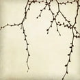 thumbnail image 3 of Melious, Amy 20x20 Black Modern Framed Museum Art Print Titled - Branches II, 3 of 5
