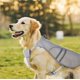 thumbnail image 3 of 26-27 Summer pet cooling and heat protection grey waistcoat, 3 of 5