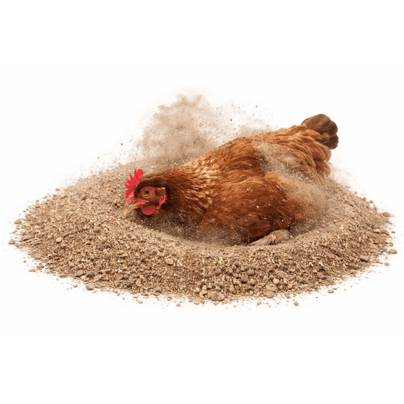 Chicken Dust Bath with Nesting Herbs, 4 Pounds