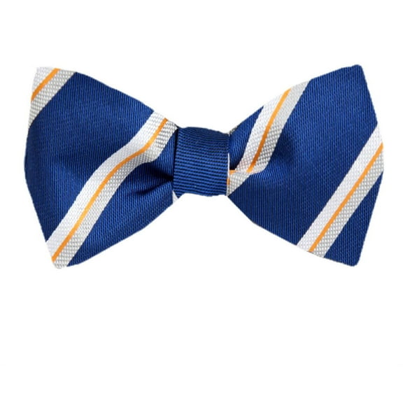 FBTZ-1075 - Silk Mens Fashion Self Tie Bow Tie