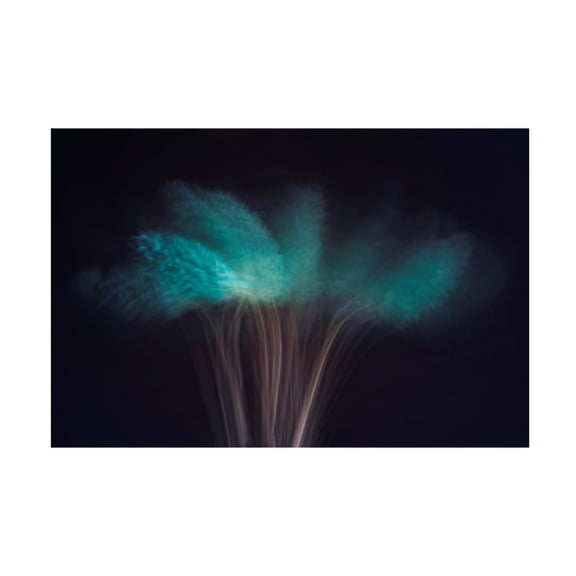 Trademark Fine Art Cicek Kiral Visions In The Dark Canvas Wall Art