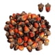 thumbnail image 1 of Injueey Juego de 50 mini bellotas de PVC para decoración, 50 nueces de roble artificiales para la decoración de la de Acción de Gracias Plantas Artificiales, 1 of 6