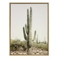 thumbnail image 3 of Kate and Laurel Sylvie Sunrise Cactus Framed Canvas Wall Art by Amy Peterson Art Studio, 28x38 Natural, Modern Botanical Cactus Plant Art for Wall, 3 of 7
