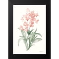 thumbnail image 2 of Nai, Danhui 11x14 Black Modern Framed Museum Art Print Titled - Spring Orchid I, 2 of 5
