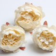 thumbnail image 2 of Cabeza De Flor De Bráctea De Rosa De Seda Artificial De 10 Piezas Para Decoración De Boda De Bricolaje - Blanco Macarena Cabeza de flor, 2 of 6