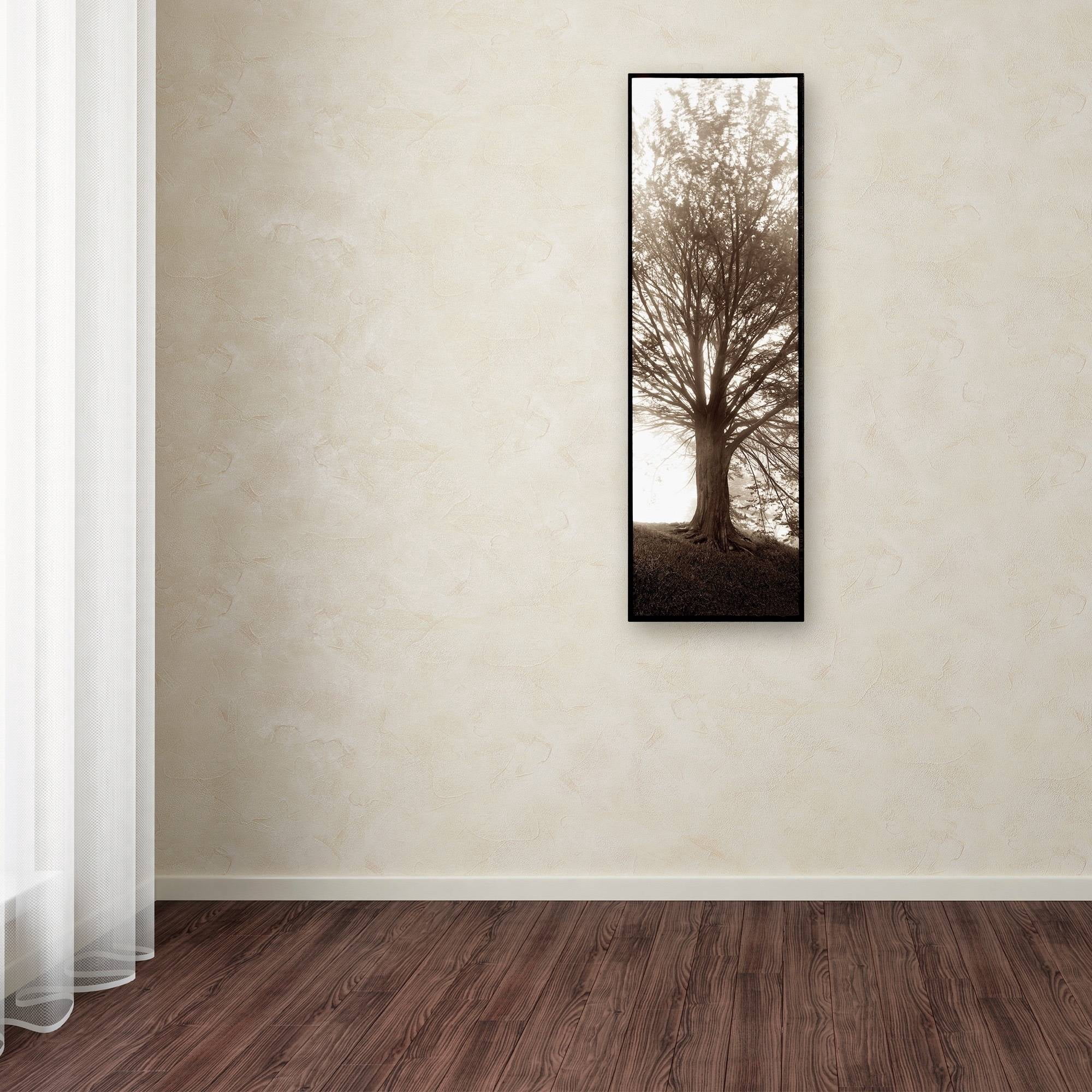 Trademark Fine Art Alan Blaustein Hampton Gates Tree No. 1 Canvas Wall Art - 6x19