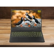 EVOO Gaming Laptop, 15.6 FHD Display, Intel Core i5-10300H Upto 4.5GHz, 8GB RAM, 256GB NVMe SSD, NVIDIA GeForce GTX 1650, HDMI, Mini DisplayPort, Card Reader, Wi-Fi, Bluetooth, Windows 10 Pro