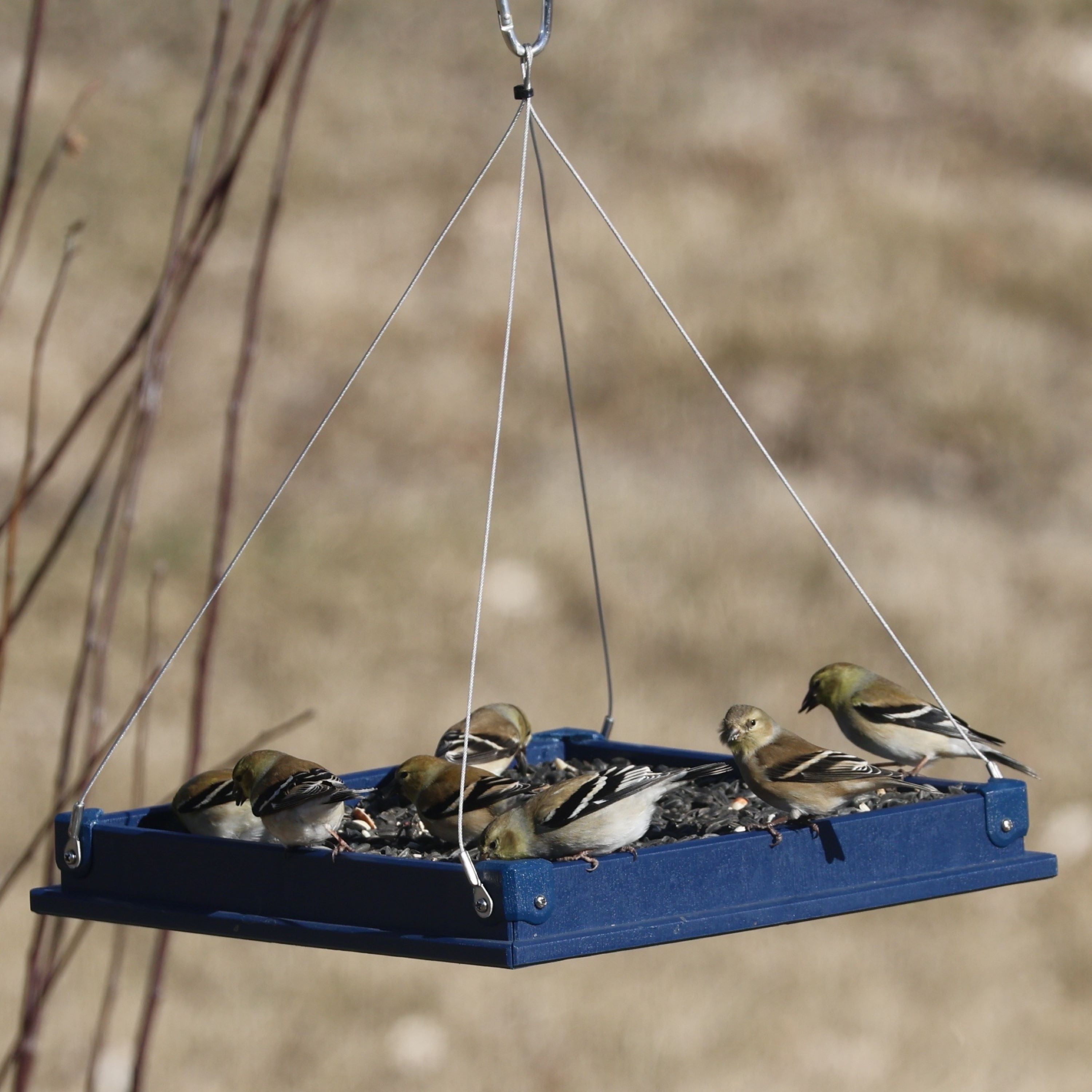 Backyard Essentials Platform Bird Feeder Large Hanging Metal Mesh Feeder, 10 Cup Capacity Blue