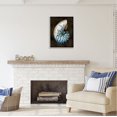 thumbnail image 3 of Stupell Industries Modern Marine Shell Nature Painting Gray Framed Art Print Wall Art, 24 x 30, 3 of 9