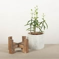 thumbnail image 2 of MDR Trading Inc. FP-JLS-096 Wooden Plant Stand, 2 of 4