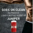 thumbnail image 4 of Old Spice Men's Aluminum-Free Deodorant Stick, Rogue, 3.0oz., 4 of 9