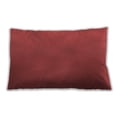thumbnail image 1 of Ahgly Company Indoor Rectangular Contemporary Lumbar Throw Pillow, 13 inch by 19 inch, 1 of 5