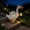 White349, variant on Tuvgenk Solar Lights Outdoor Resin Duck Figurine Decor Lifelike Animal Statue for Garden Lawn Patio White Resin
