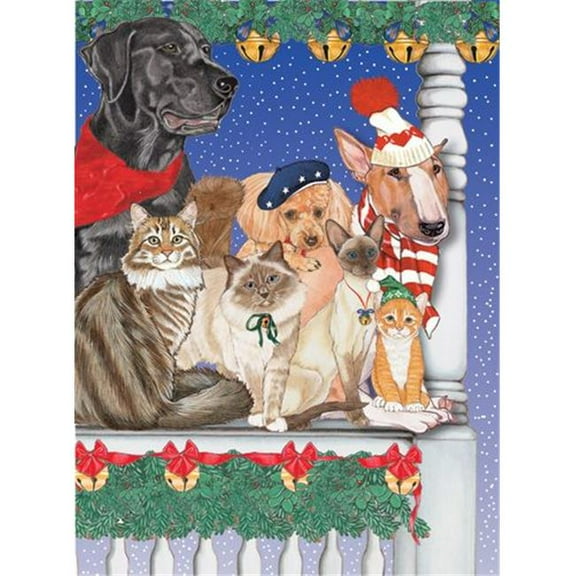 Mix Dog With Cat Holiday Boxed Cards