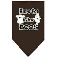 thumbnail image 2 of Halloween Pet and Dog Bandana Screen Printed, "Here For The Boos", 2 of 10