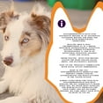 thumbnail image 6 of Piccardmeds4pets Advanced Ear Wash Cleaner Solution with Aloe 4 oz., 6 of 6