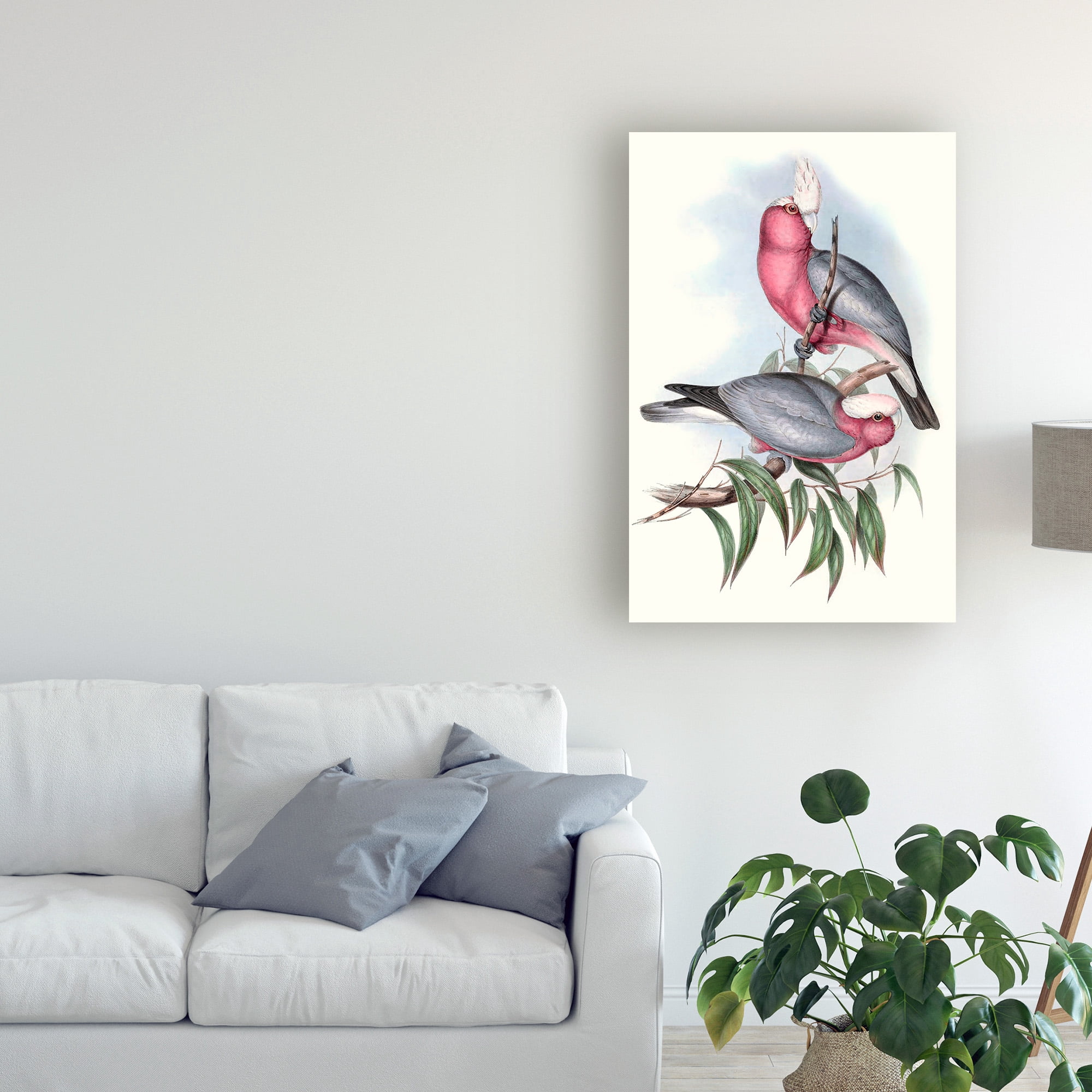 Trademark Fine Art 'Pastel Parrots III' Canvas Art by John Gould