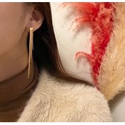 Polished Long Drop Earrings