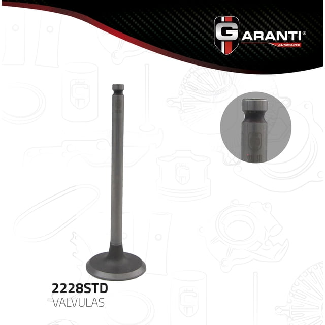 Valvula Admision Garanti Para Pontiac Sunfire 1995 - 1995 (Garanti)